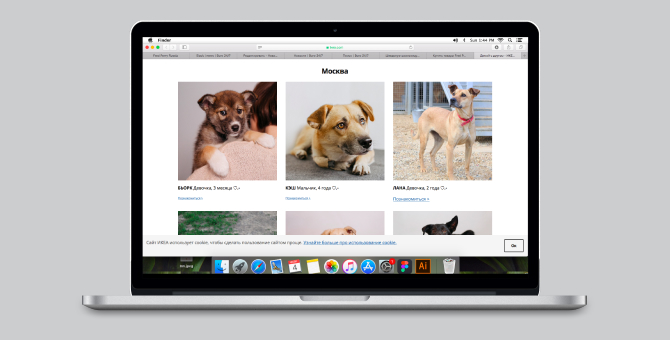 На российском сайте IKEA появился раздел с животными из приютов