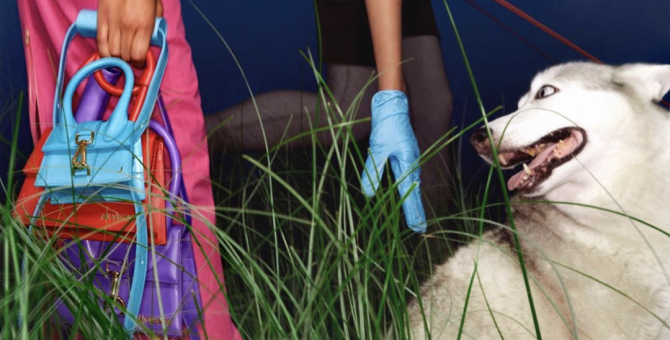 В новой кампании Jacquemus снялись собаки