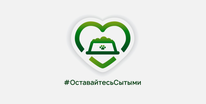 Фонд помощи животным «Ника» запустил акцию по сбору корма для приютов