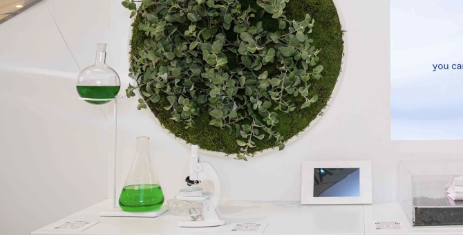 Pangaia открыл поп-ап-пространство в ДЛТ