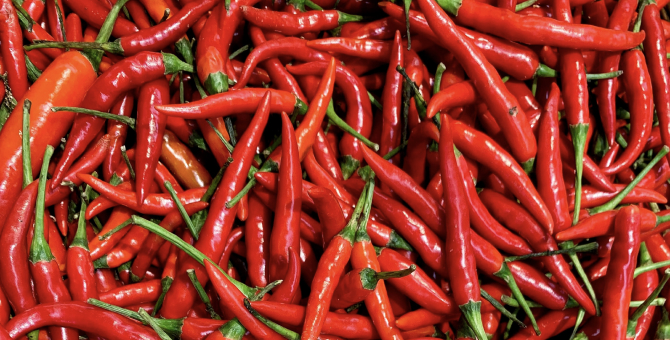 Астронавты впервые вырастили перец чили на борту МКС