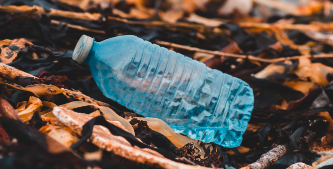 Немецкие ученые разработали биопластик, который разлагается в течение 12 месяцев