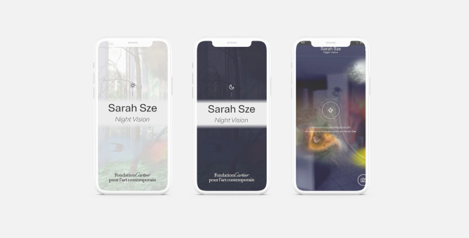 Fondation Cartier представил виртуальную работу американской художницы Сары Зе