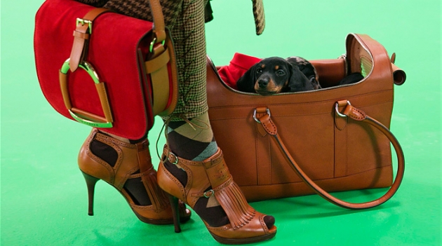 The Dog Walk: проект марки Ralph Lauren