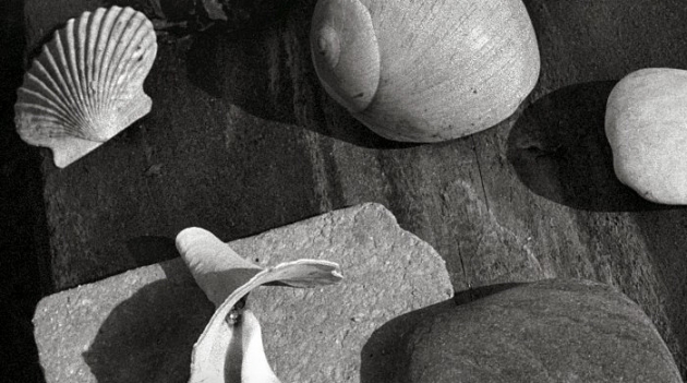 Первая американская выставка серии MONO Ральфа Гибсона