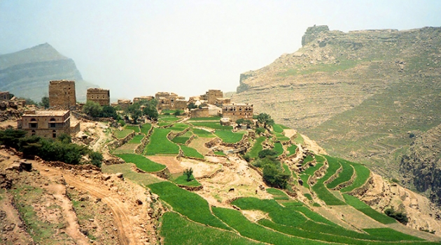 \"Щебневый вызов\" в ответ на #IceBucketChallenge