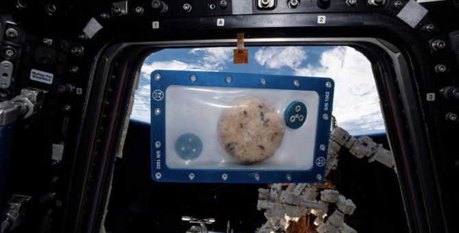 На МКС впервые испекут печенье