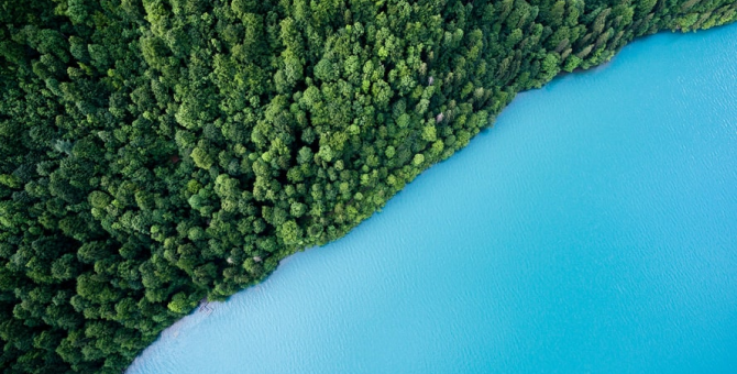 WWF России запустил образовательную платформу об изменении климата