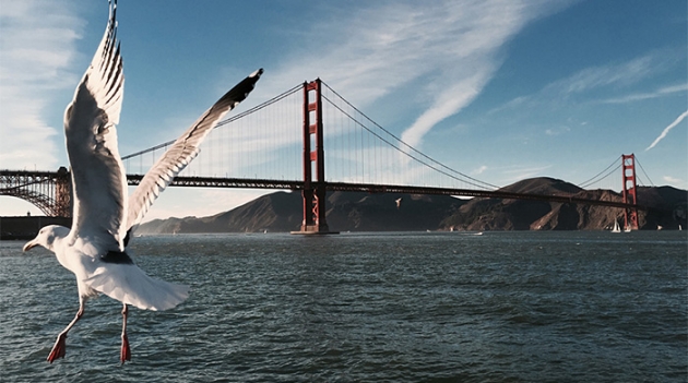 Apple выпустил мини-клипы про iPhone 6