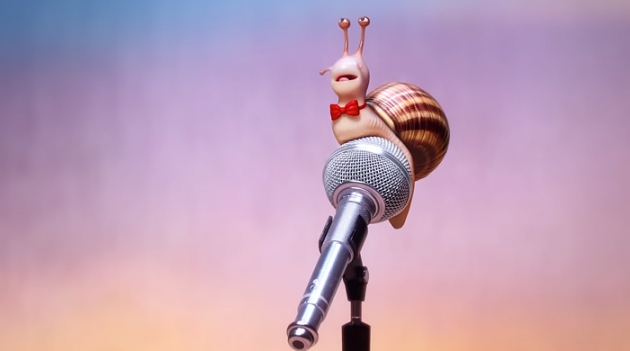 Коала, улитка, дикобраз и другие животные в трейлере мультфильма \"Путь к славе\"