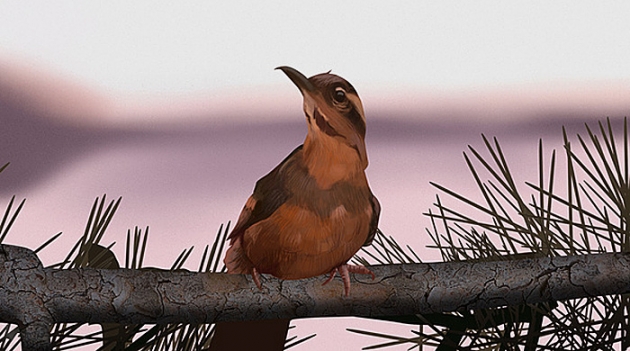 Марк Фрост напишет продолжение \"Твин Пикса\"