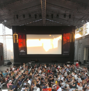 Летние баклажаны