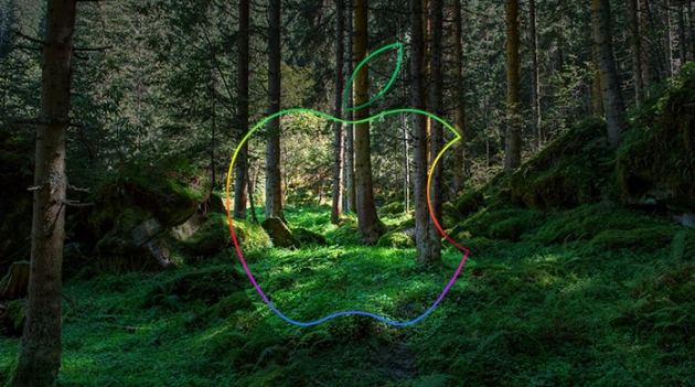 Apple купили 36000 акров леса