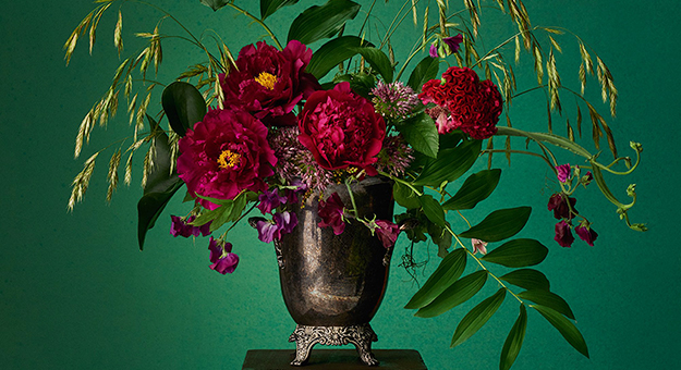 Выставка Loewe в Королевском ботаническом саду Мадрида