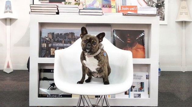 У Шупетт появился арт-конкурент