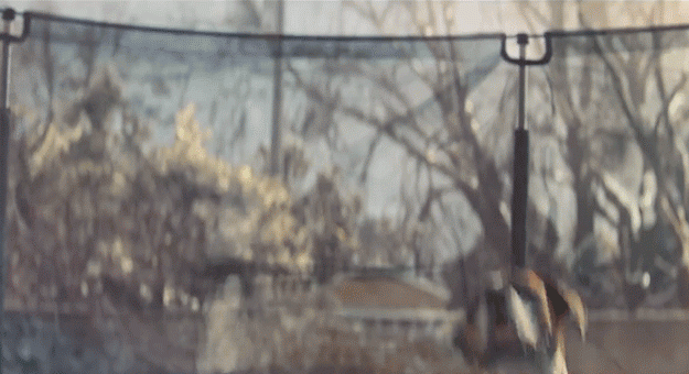 Звери на батуте: рождественская реклама John Lewis