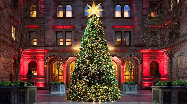 Рождественские елки в лучших отелях мира