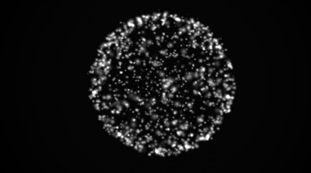 Новый интернет-проект Ай Вэйвэя и Олафура Элиассона