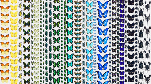 Дэмиен Херст ищет художников-фотореалистов