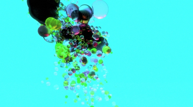 Живые организмы по мотивам коллекции Comme des Garçons