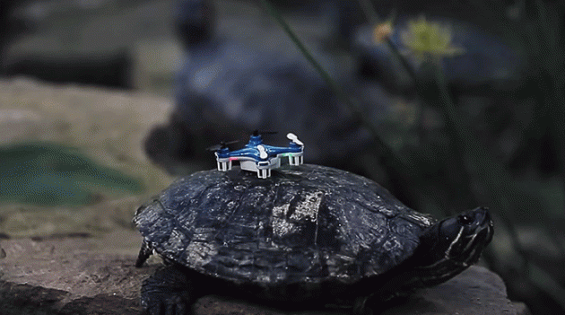 Создан самый маленький дрон в мире