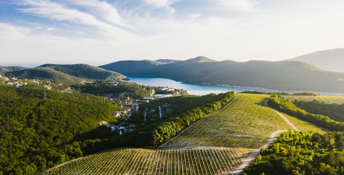 В Абрау-Дюрсо пройдет музыкальный фестиваль Light Weekend