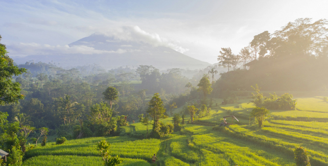 На Бали ввели туристический сбор для иностранцев