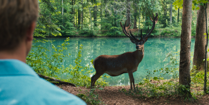 В «Художественном» пройдет кинофестиваль Франкофонии