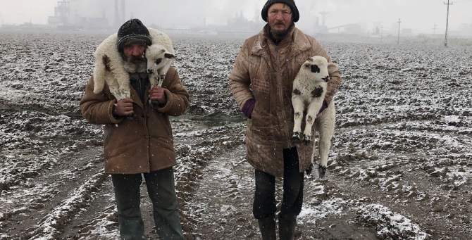 Названы лучшие фото, снятые на iPhone в 2021 году