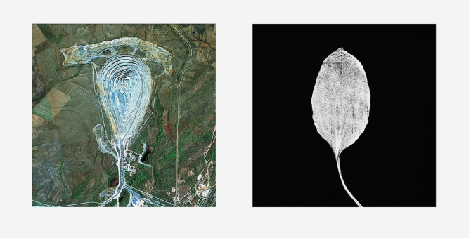 В Cube.Moscow начнет работу выставка об уникальности природы