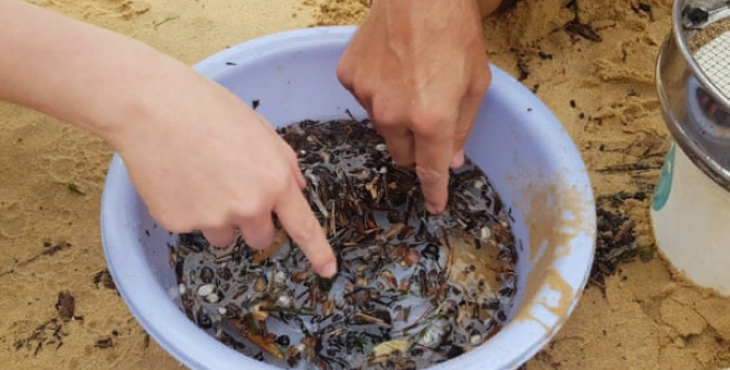 Ученые смогли очистить воду от микропластика с помощью бактерий