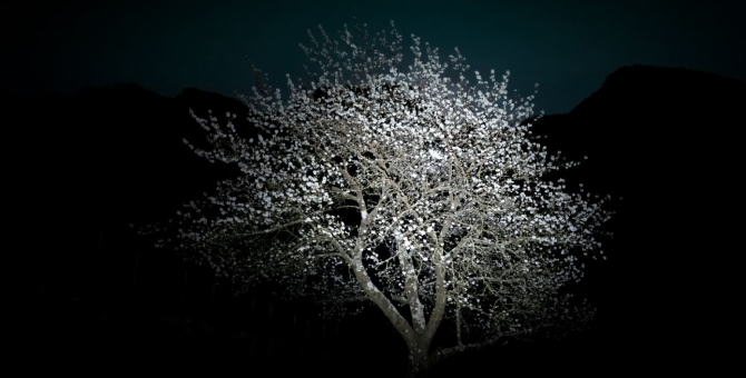 В музее «Эрарта» пройдет выставка швейцарско-итальянского художника Юри Катании