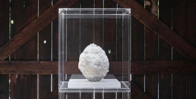 Японская керамистка Эрико Синодзаки выиграла премию фонда Loewe Craft Prize 2023