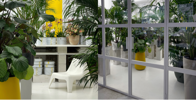В магазине «Собран в саду» на Петровке открылась теплица с живыми растениями
