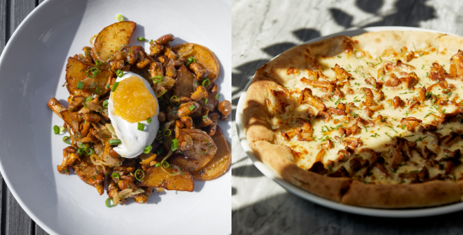 В ресторане КМ20 появились сезонные блюда с лисичками