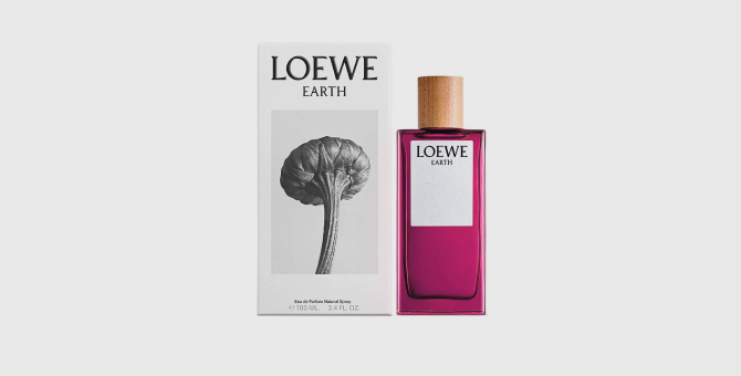 Loewe выпустил новый унисекс-аромат с запахом трюфеля