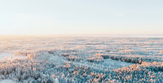 Финляндия не будет присоединяться к НАТО раньше Швеции