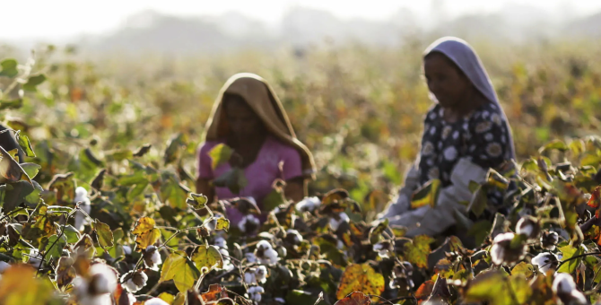 Inditex инвестируют 15 миллионов евро в Регенеративный фонд природы