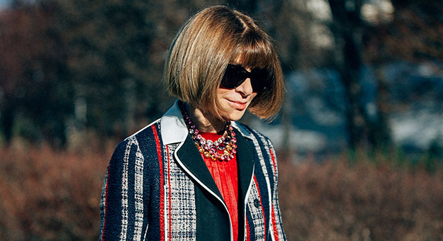 Анна Винтур снимется в «Восьми подругах Оушена»