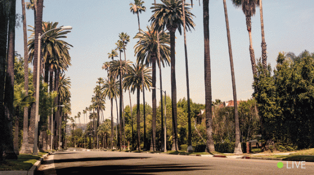 Прямая трансляция показа Burberry в Лос-Анджелесе