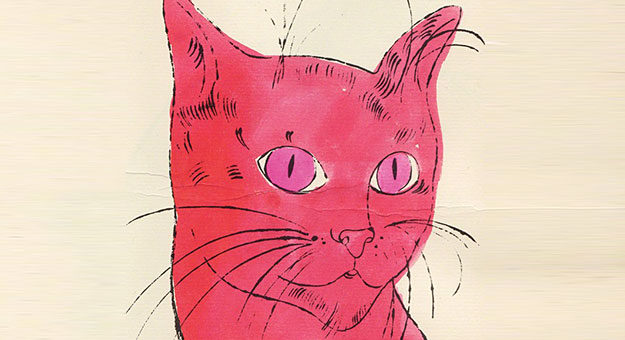 Google объявил кастинг котов