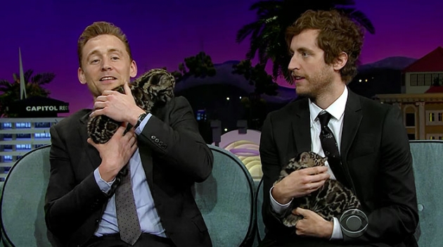 Видео дня: Том Хиддлстон, Джеймс Корден и Томас Миддлдитч играют с маленькими леопардами