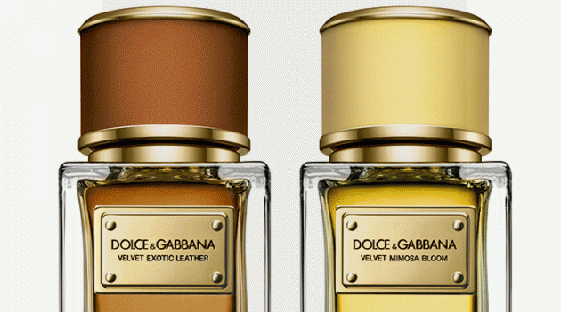 Mimosa Bloom и Exotic Leather: новые ароматы Dolce & Gabbana
