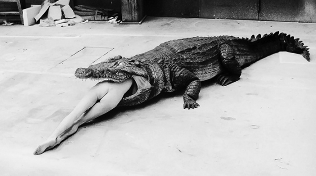 В Берлине открывается ретроспектива Хельмута Ньютона