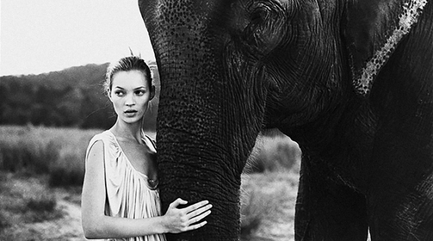 Ретроспектива Артура Элгорта в Милане