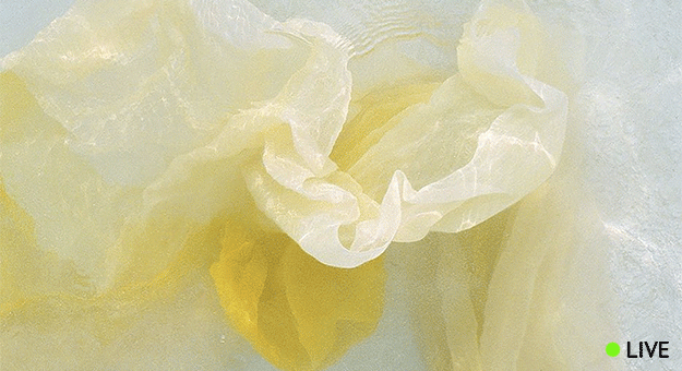 Прямая трансляция показа Hermès, весна-лето 2017