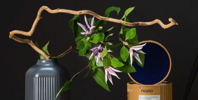 Российский бренд декора для дома Tkano представил новые диффузоры