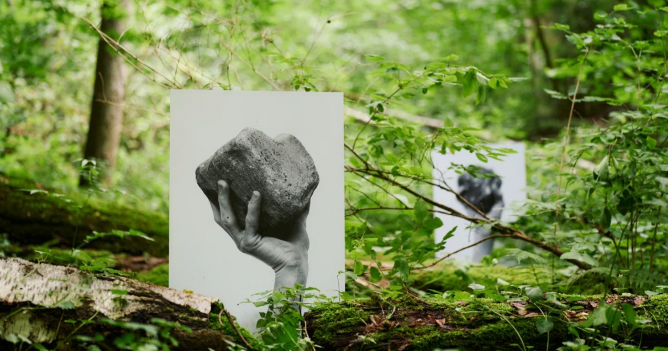 В «Горках Ленинских» открылся проект «Лес. Художественно-терапевтическая тропа»