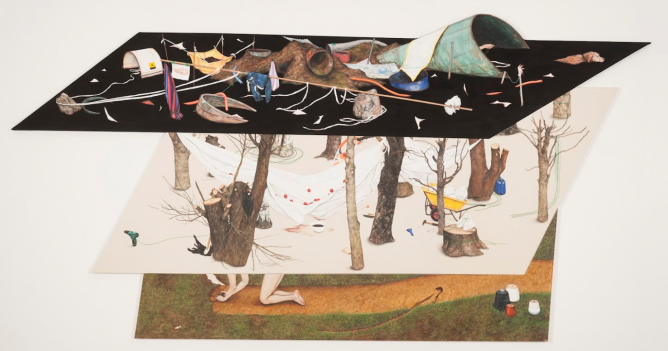 В Нижнем Новгороде пройдет Первая Международная биеннале экологического искусства