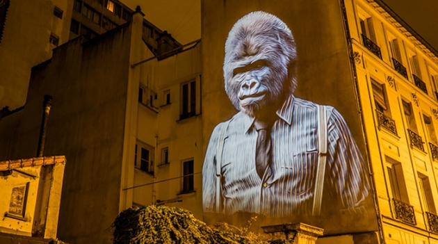 Необычное сафари на парижских улицах